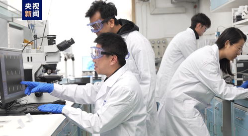 我國科研人員實現二維金屬碲化物材料宏量制備，助力材料科學規(guī)模化應用