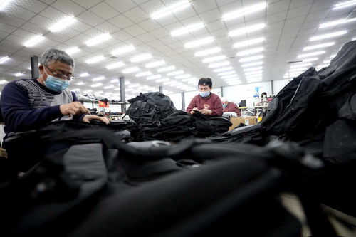 河北隆堯 壯大集體經濟 助力鄉村振興